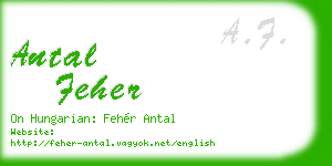 antal feher business card