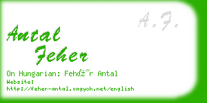 antal feher business card